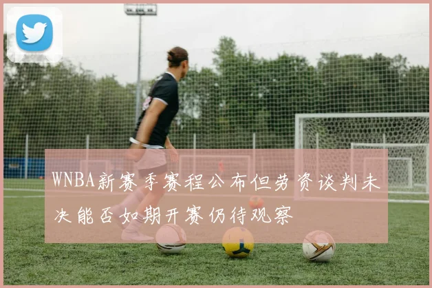 WNBA新赛季赛程公布但劳资谈判未决能否如期开赛仍待观察