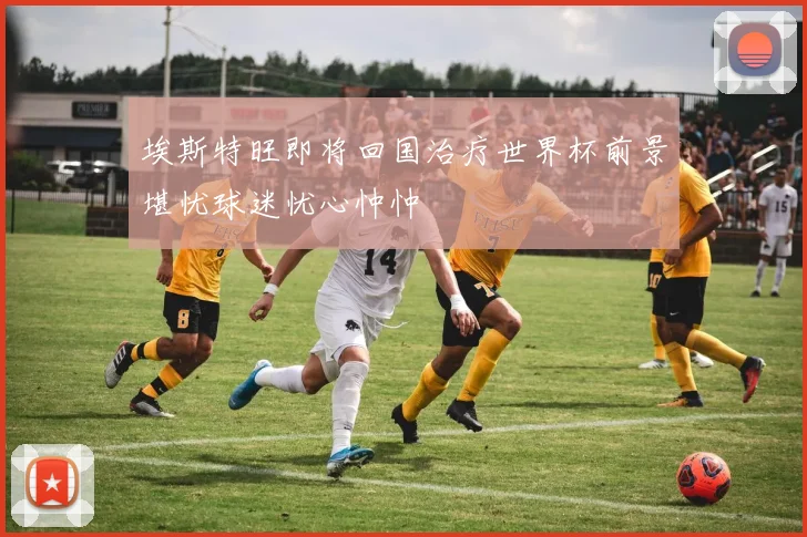 埃斯特旺即将回国治疗世界杯前景堪忧球迷忧心忡忡