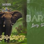 Barsee - The Elephant