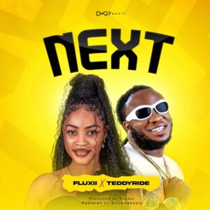 Fluxii Ft Teddyride - Next