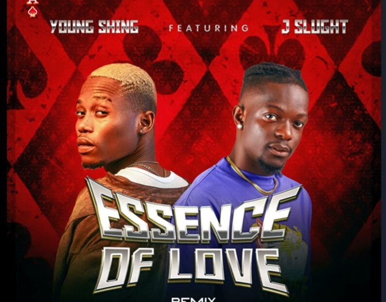 Young Shing ft J Slught - Essence of love (remix)